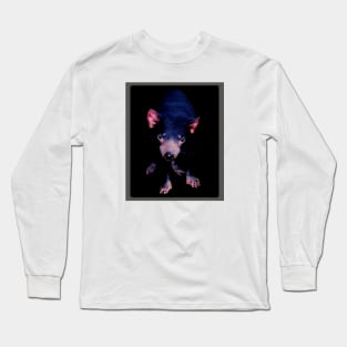 Tasmanian Devil Long Sleeve T-Shirt